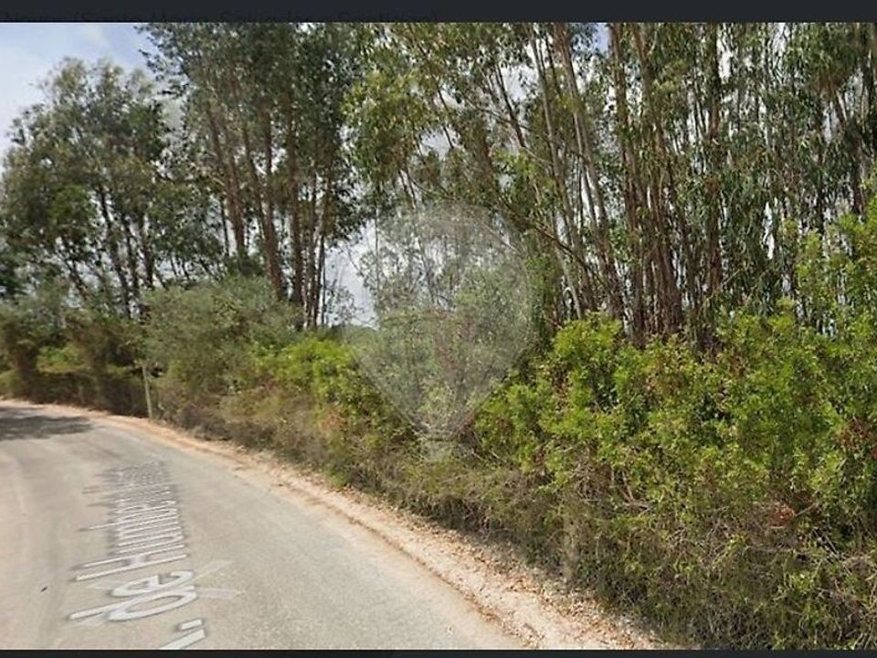 Helårsgrund i Torres Novas, Santarem - foto 1