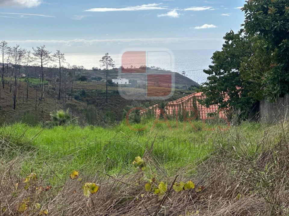 Helårsgrund i Calheta, Madeira - foto 2