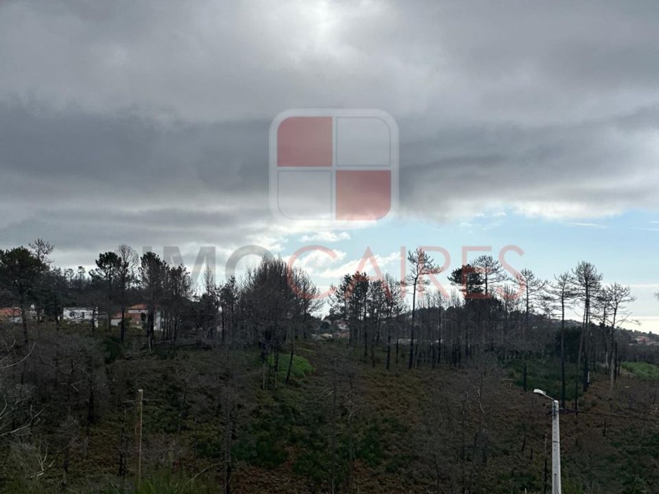 Helårsgrund i Calheta, Madeira - foto 4