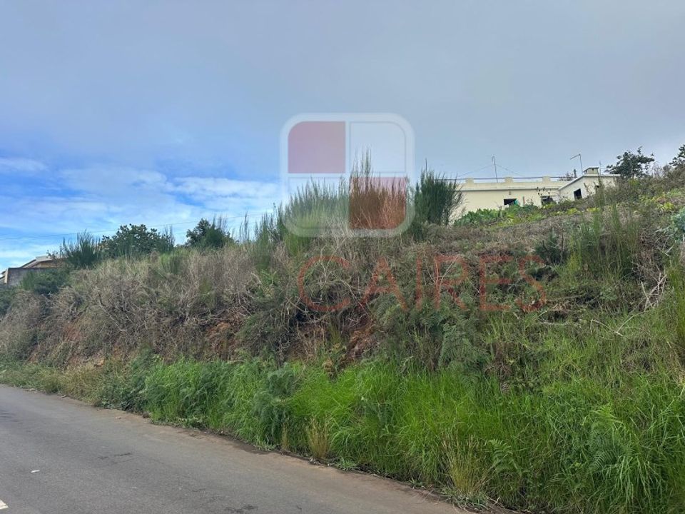 Helårsgrund i Calheta, Madeira - foto 5