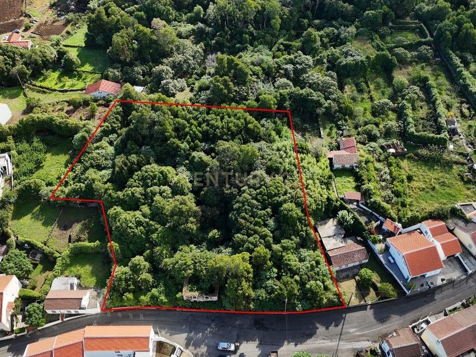 Villa in Biscoitos, Terceira - foto 3