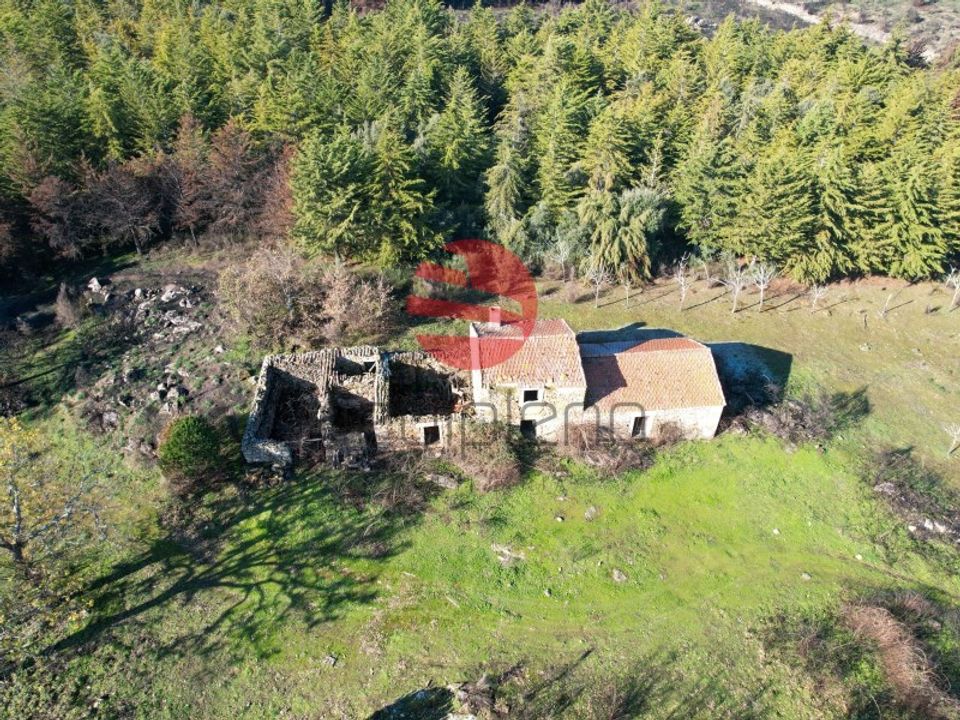 Farm i Meda, Guarda - foto 1