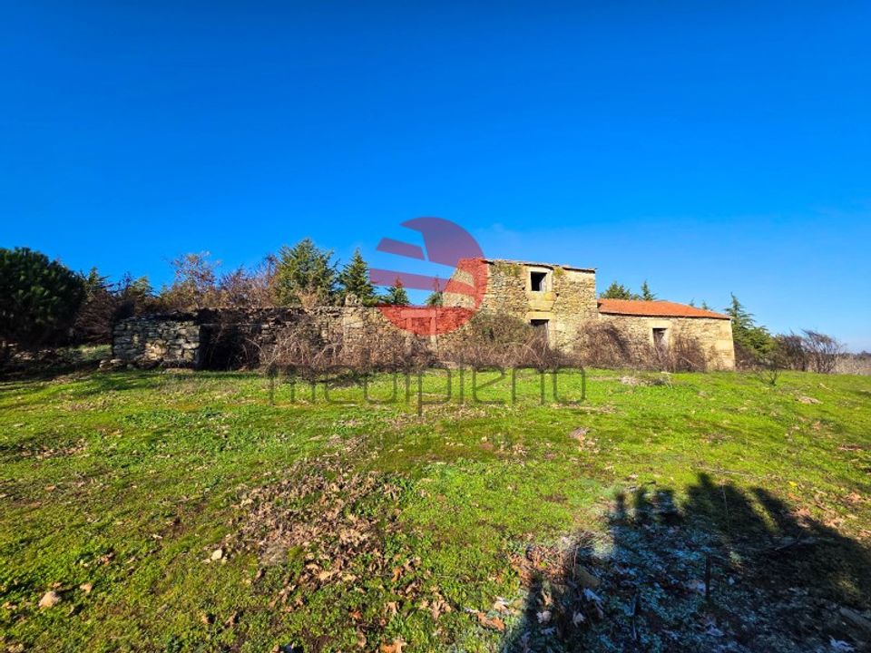 Farm i Meda, Guarda - foto 2