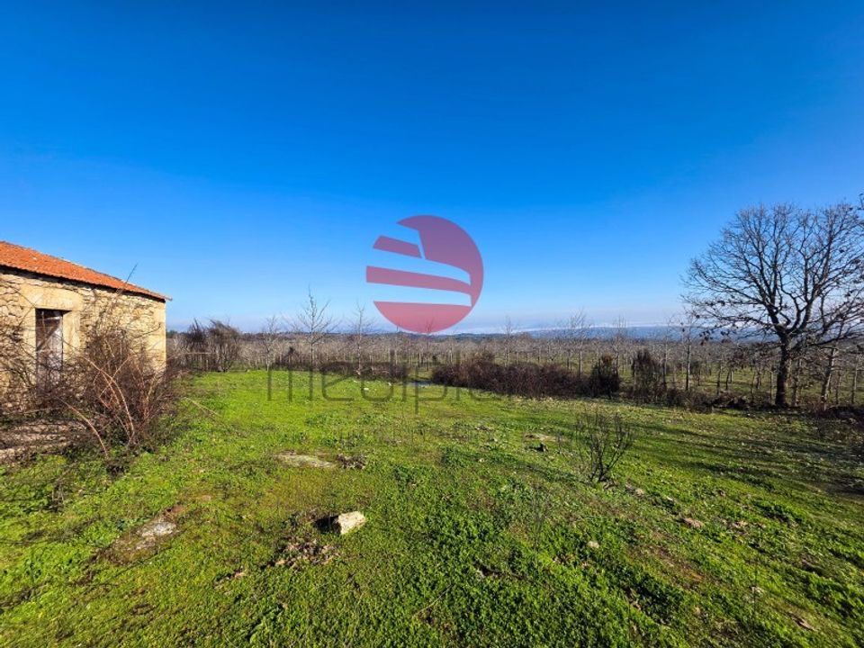 Farm i Meda, Guarda - foto 4