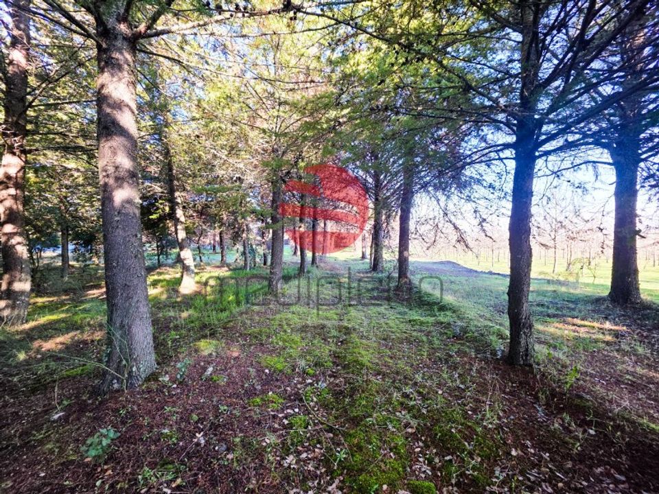 Farm i Meda, Guarda - foto 5