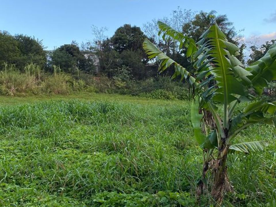 Helårsgrund i Sainte-Marie, La Reunion - foto 1