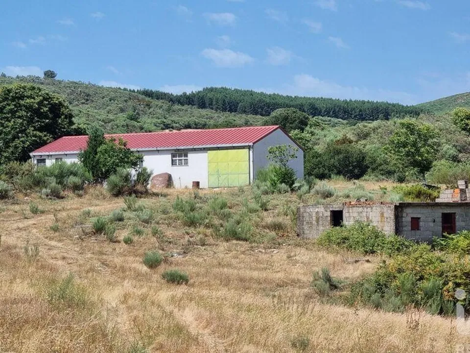 Helårsgrund i Celorico da Beira, Guarda - foto 1