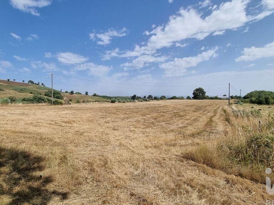 Helårsgrund i Celorico da Beira, Guarda - foto 4