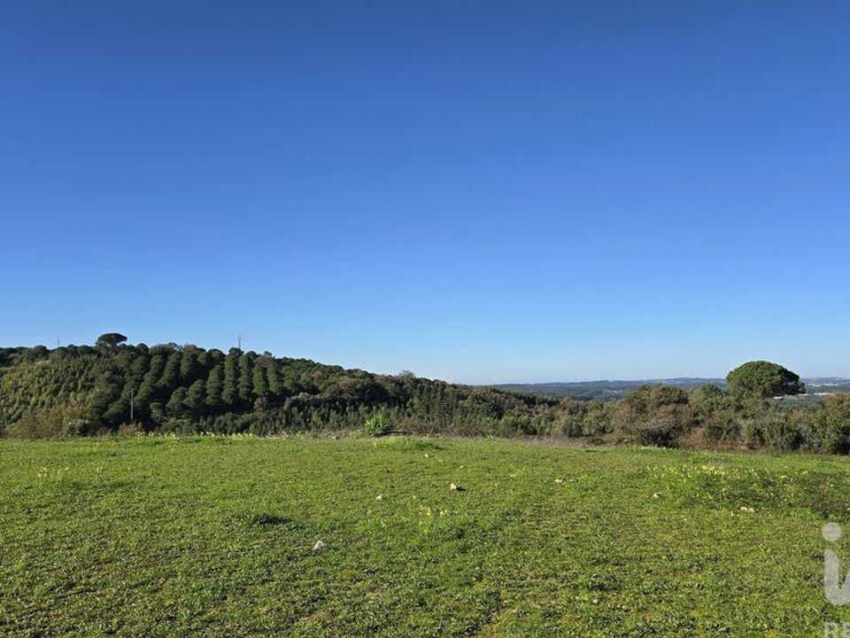 Terra a Cadaval, Lisbon - foto 4