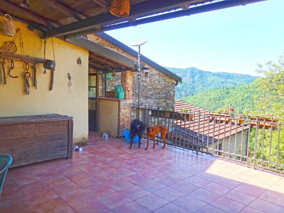 Villa i Comano, Massa and Carrara - foto 4