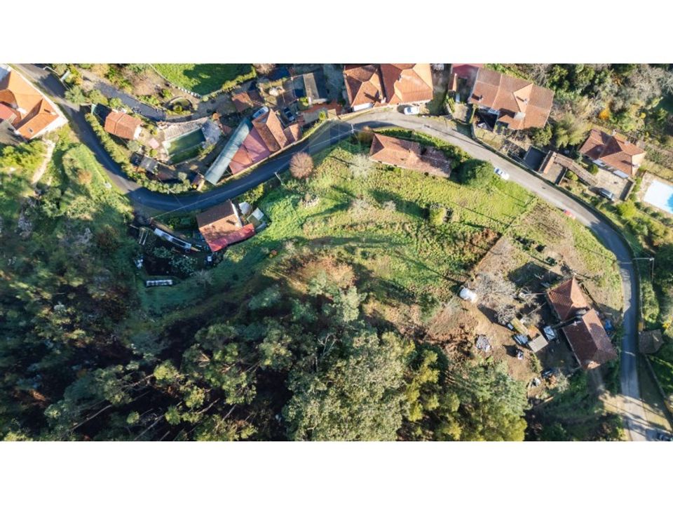 Gård i Caminha, Viana do Castelo - bilde 5