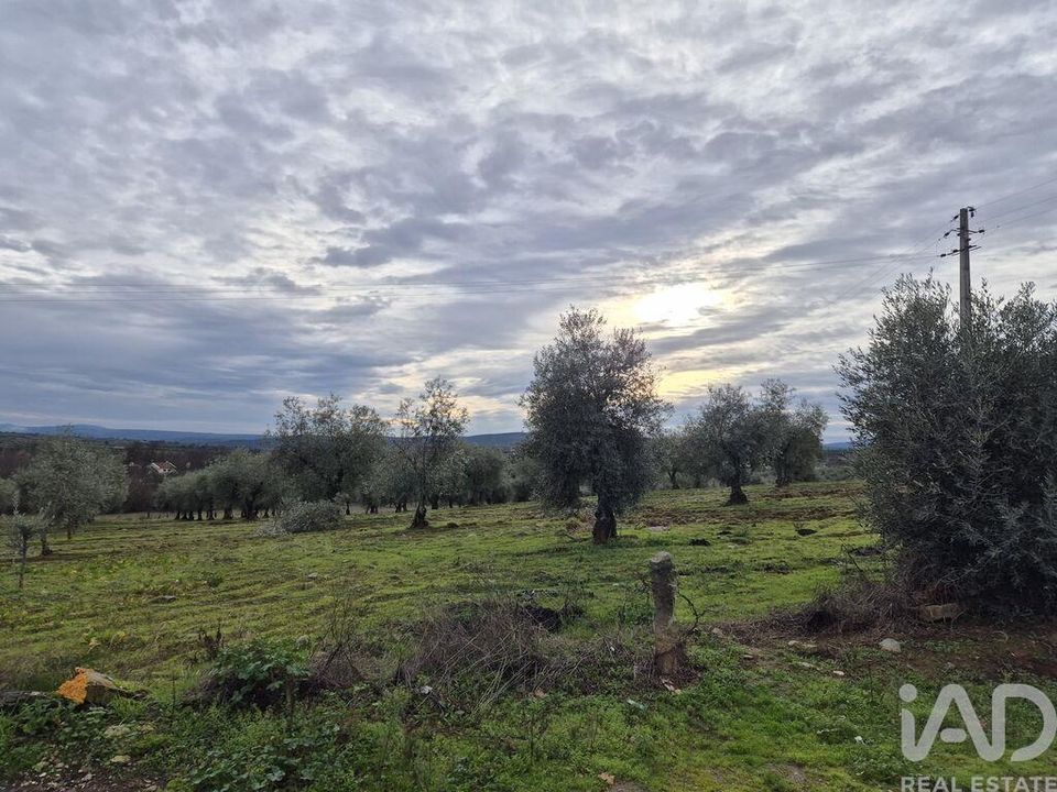 Byhus i Braganca, Braganca - foto 3