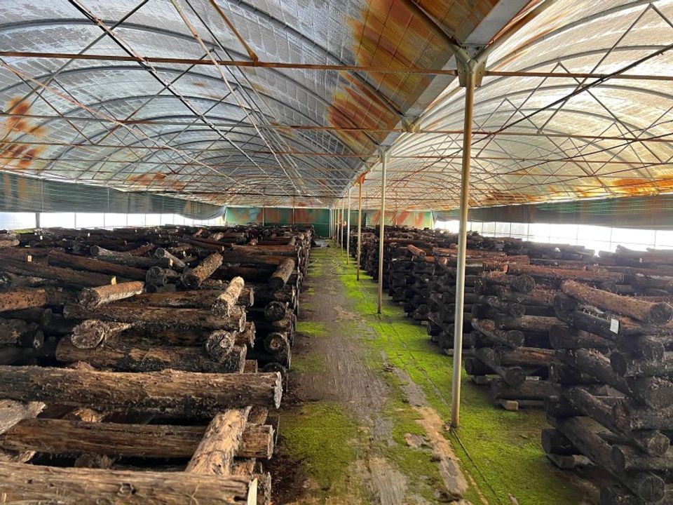 Helårsgrund i Sardoal, Santarem - foto 2