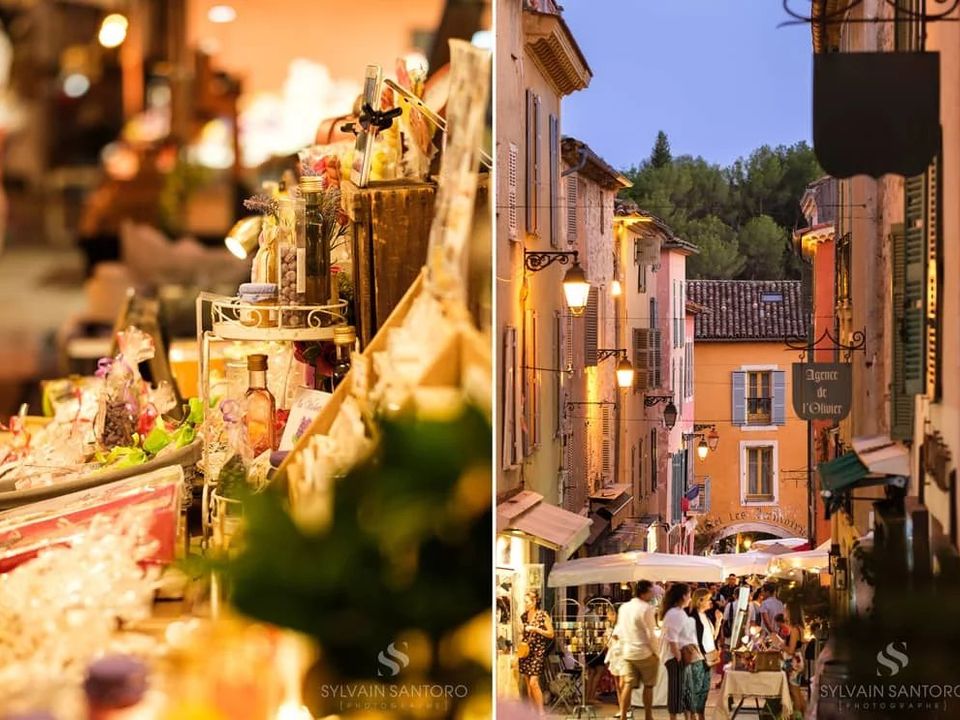 Erhvervsejendom i Valbonne, Alpes-Maritimes - foto 2