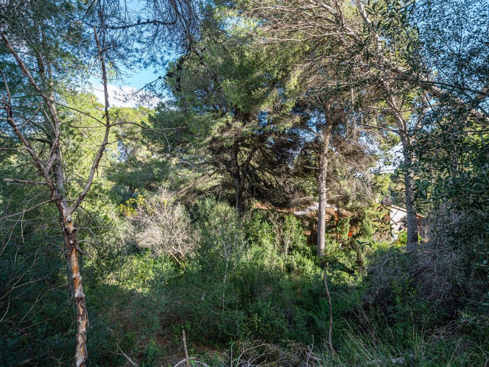 Helårsgrund i Capdepera, Mallorca - foto 5