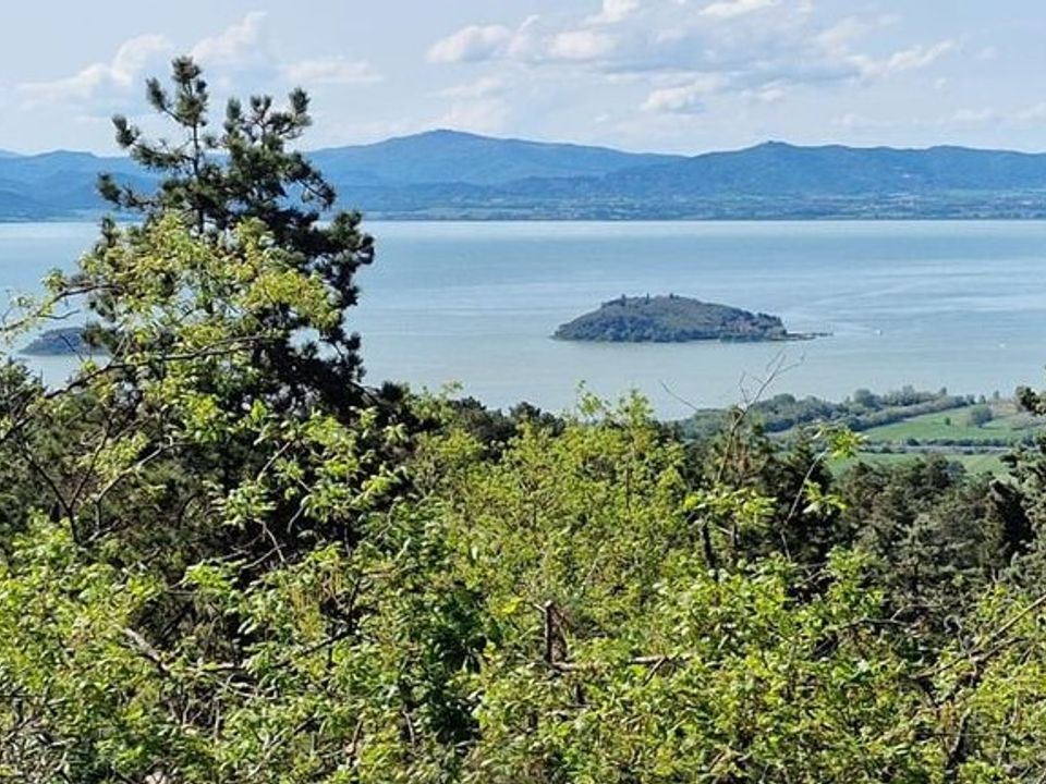 Landejendom i Tuoro sul Trasimeno, Perugia - foto 1