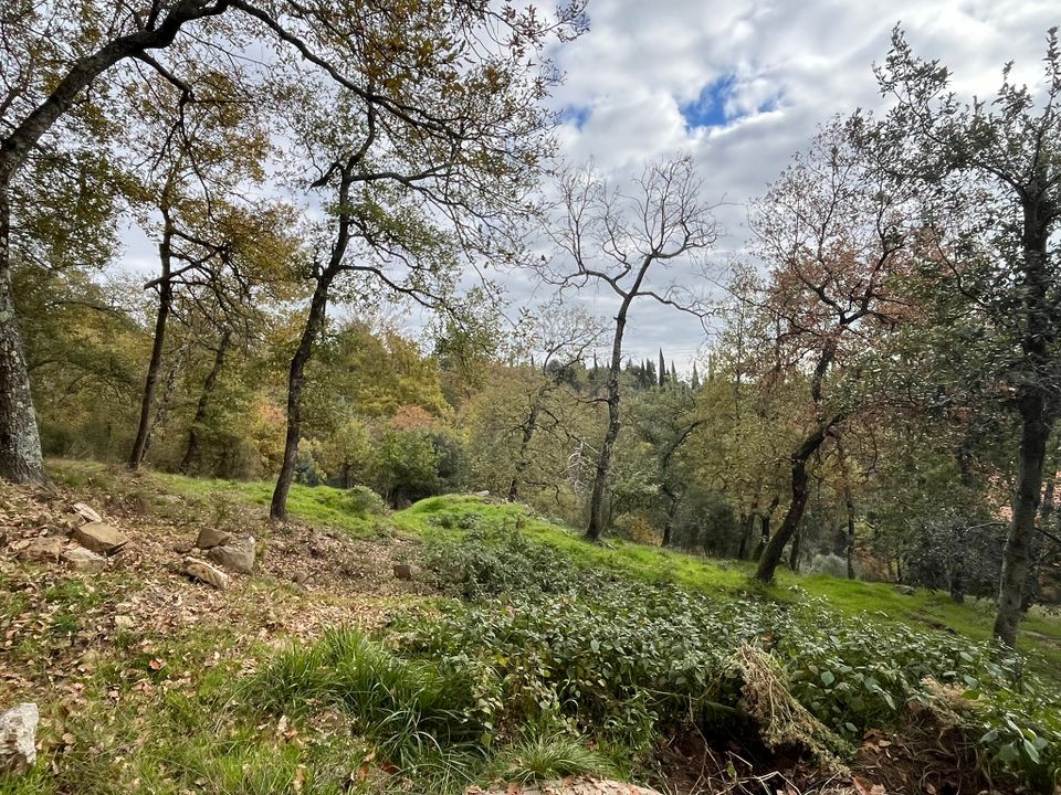 Landejendom i Tuoro sul Trasimeno, Perugia - foto 4