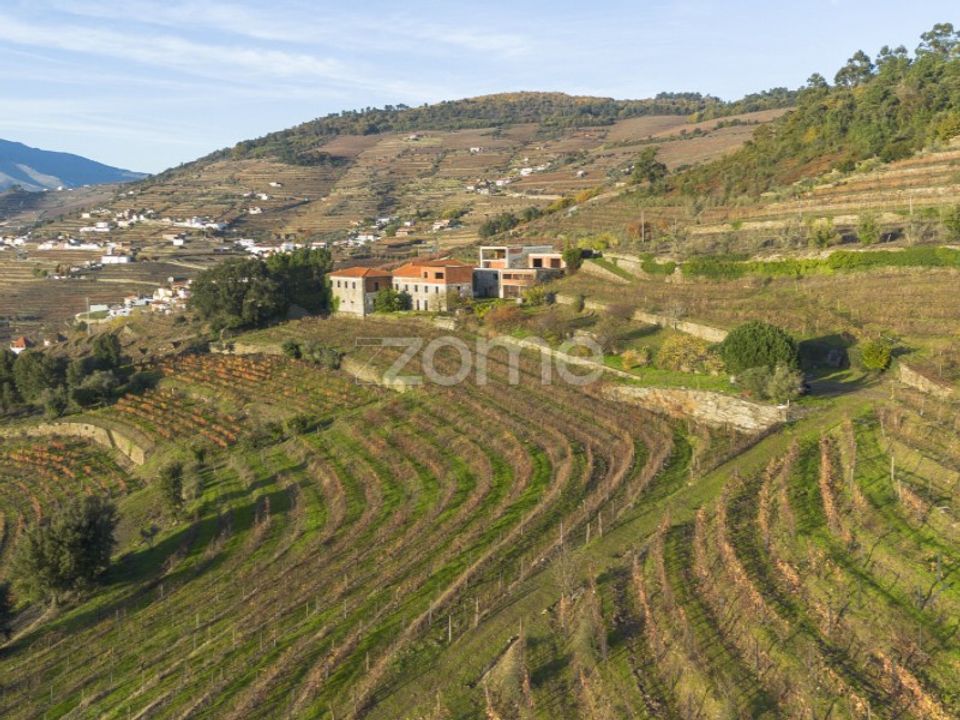 Farm i Vila Real, Vila Real - foto 4