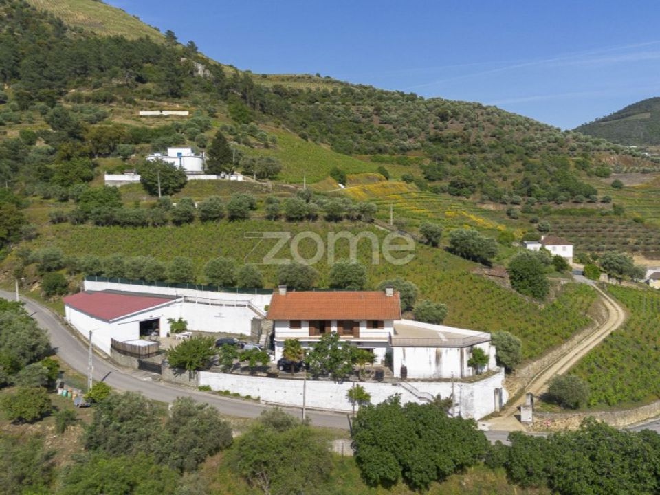 Villa i Galafura e Covelinhas, Vila Real - bilde 5