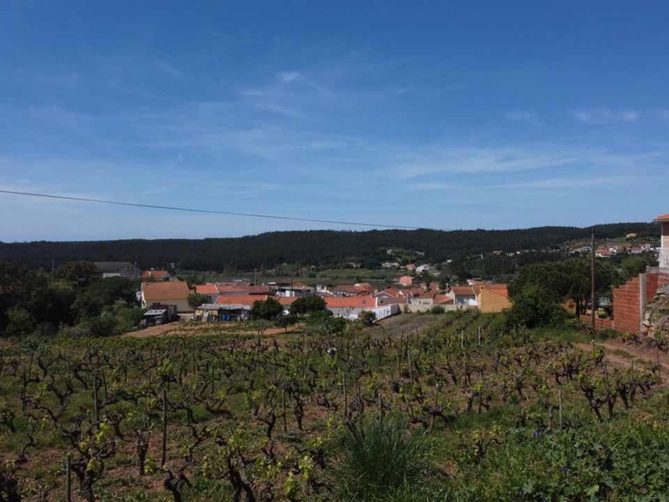 Helårsgrund i Torres Vedras, Lisbon - foto 3
