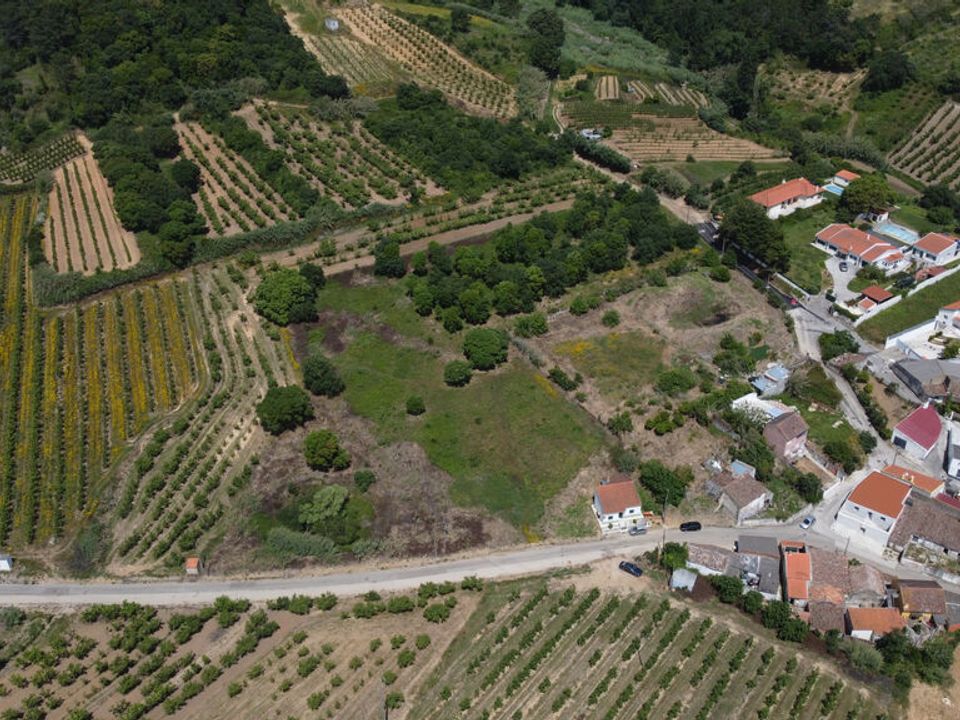 Helårsgrund i Bombarral, Leiria - foto 3