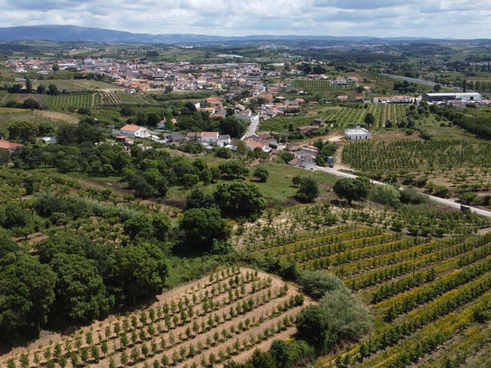 Helårsgrund i Bombarral, Leiria - foto 4