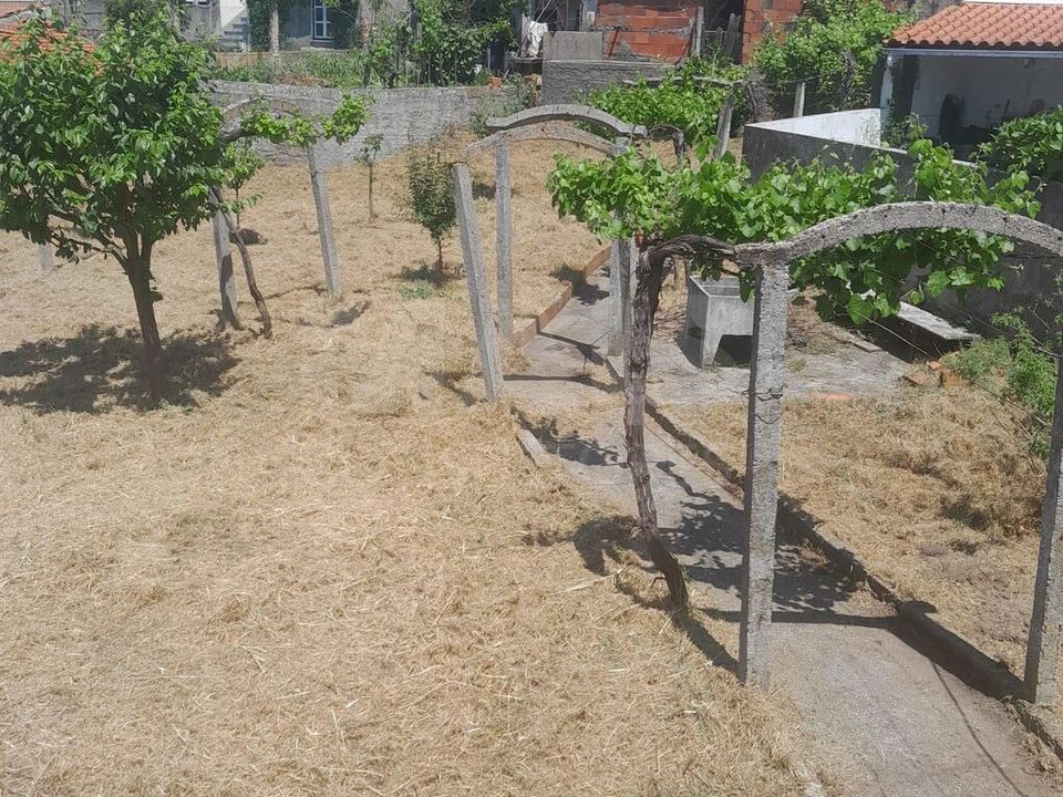 Byhus i Arganil, Coimbra - foto 2