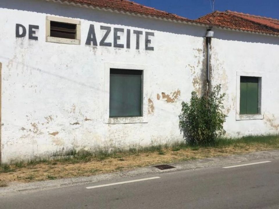 Erhvervsejendom i Torres Novas, Santarem - foto 1