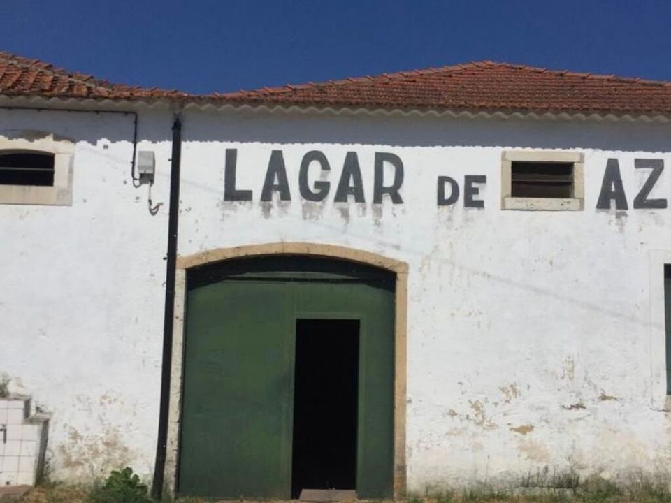Erhvervsejendom i Torres Novas, Santarem - foto 2