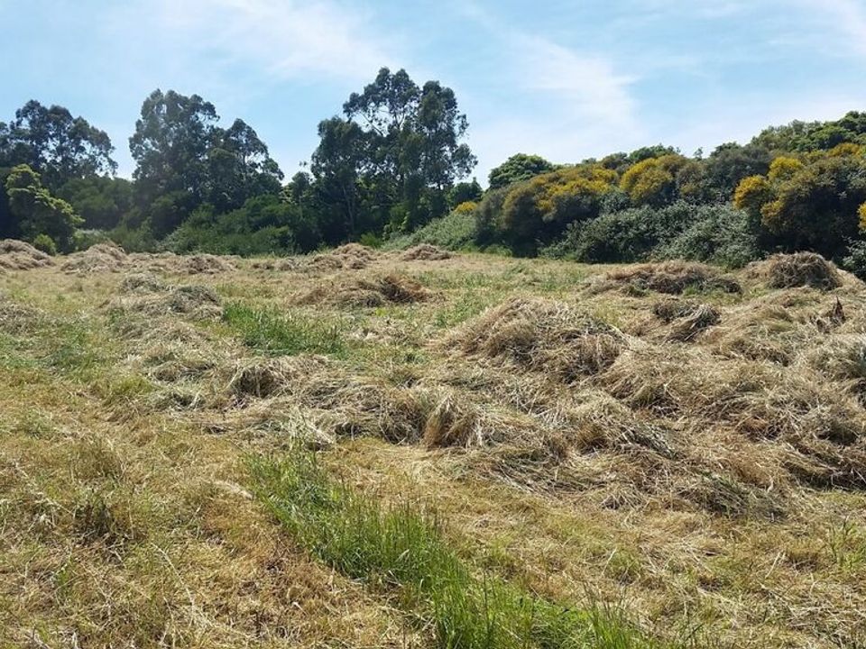 Helårsgrund i Sintra, Lisbon - foto 2
