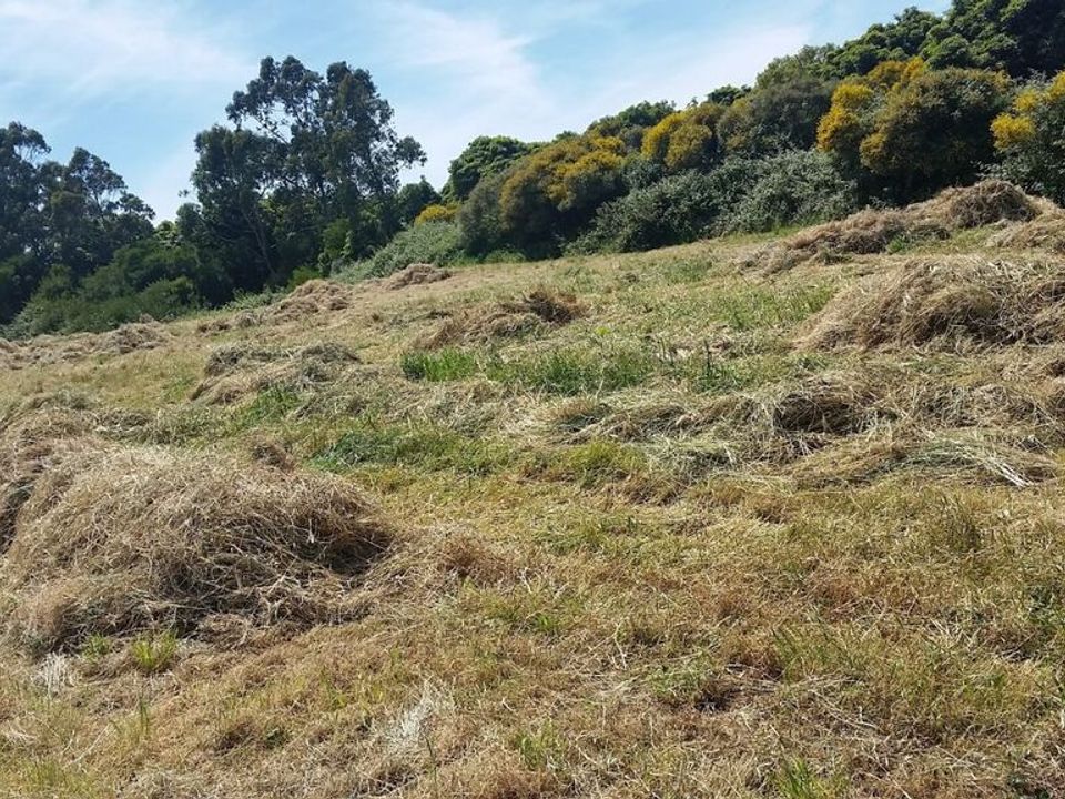Helårsgrund i Sintra, Lisbon - foto 4