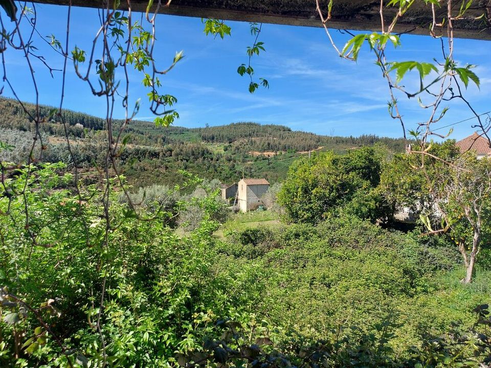 Byhus i Arganil, Coimbra - foto 5