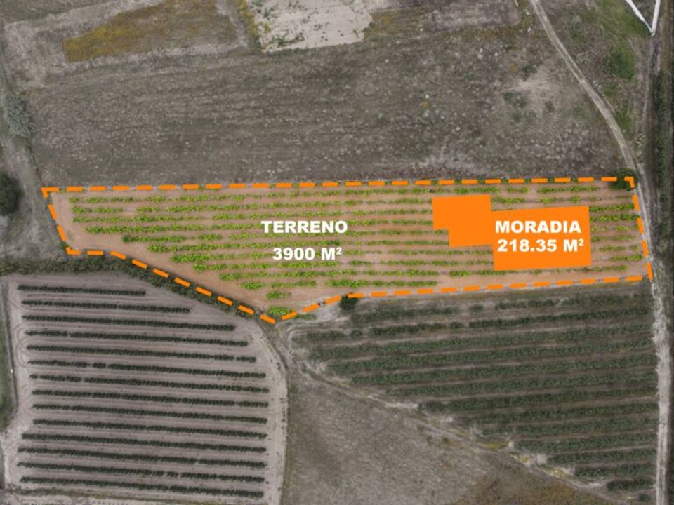 Helårsgrund i Bombarral, Leiria - foto 1