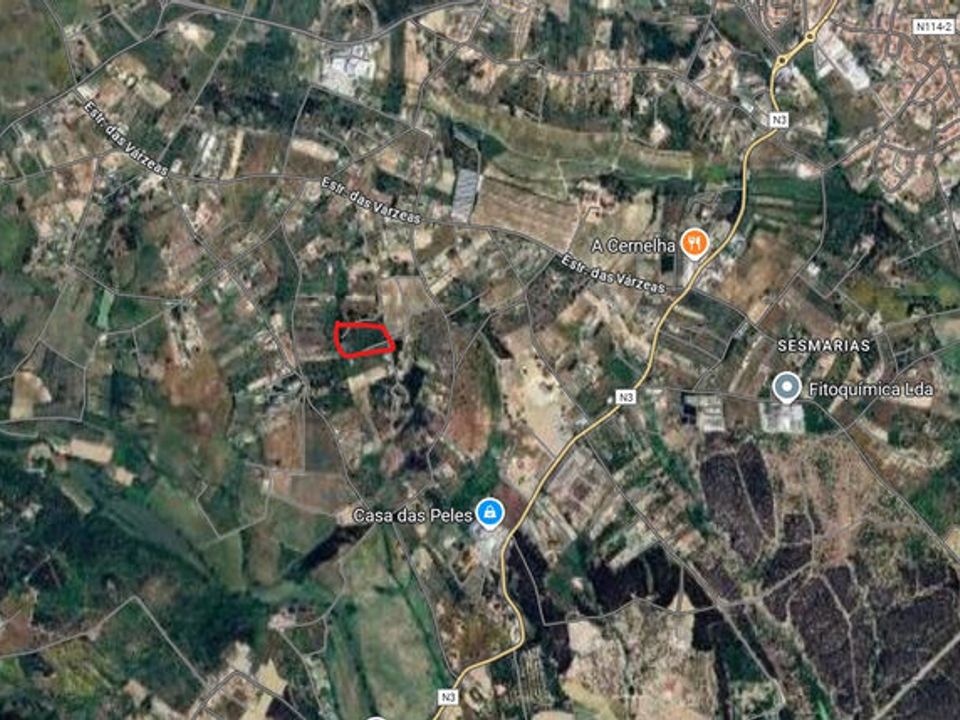 Helårsgrund i Cartaxo, Santarem - foto 2