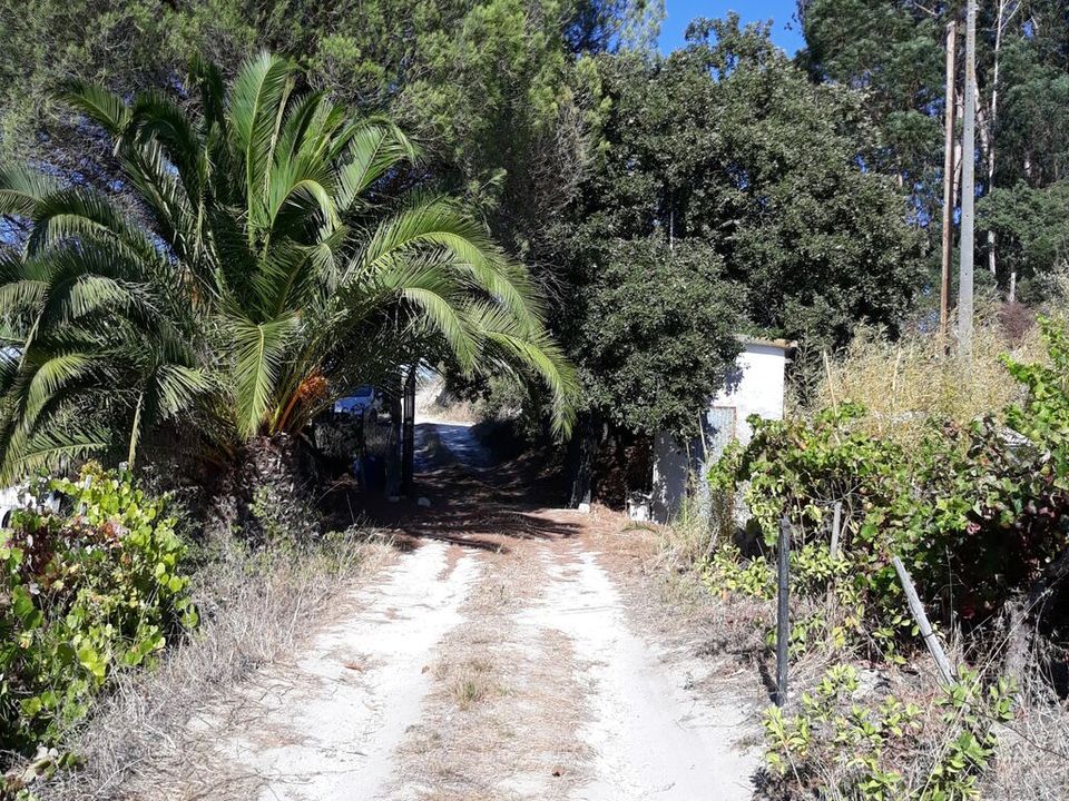 Helårsgrund i Cartaxo, Santarem - foto 4