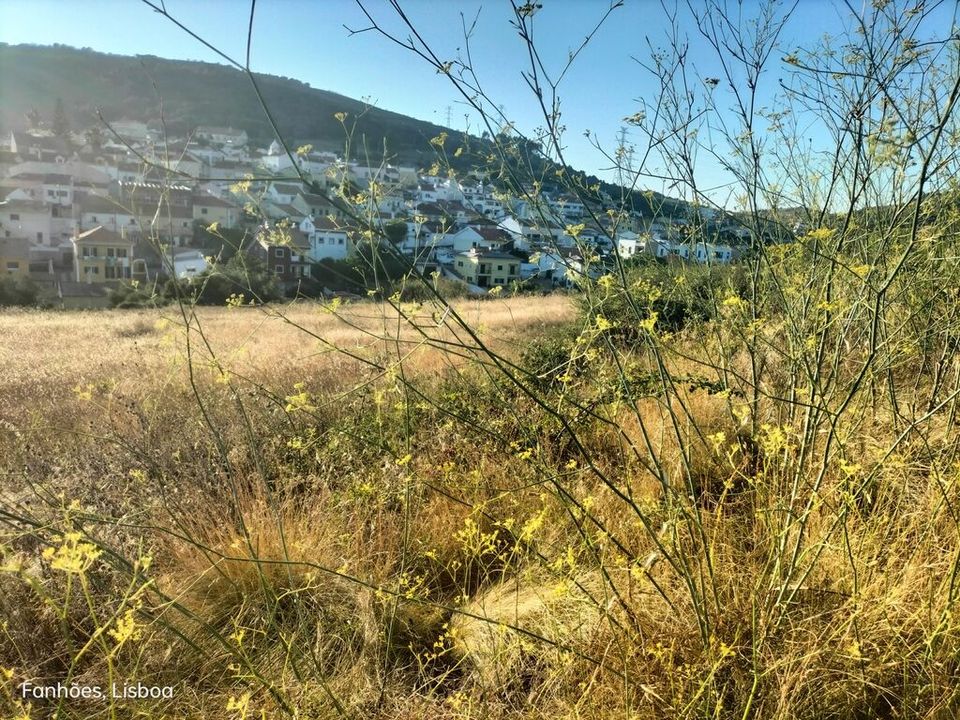 Helårsgrund i Loures, Lisbon - foto 5