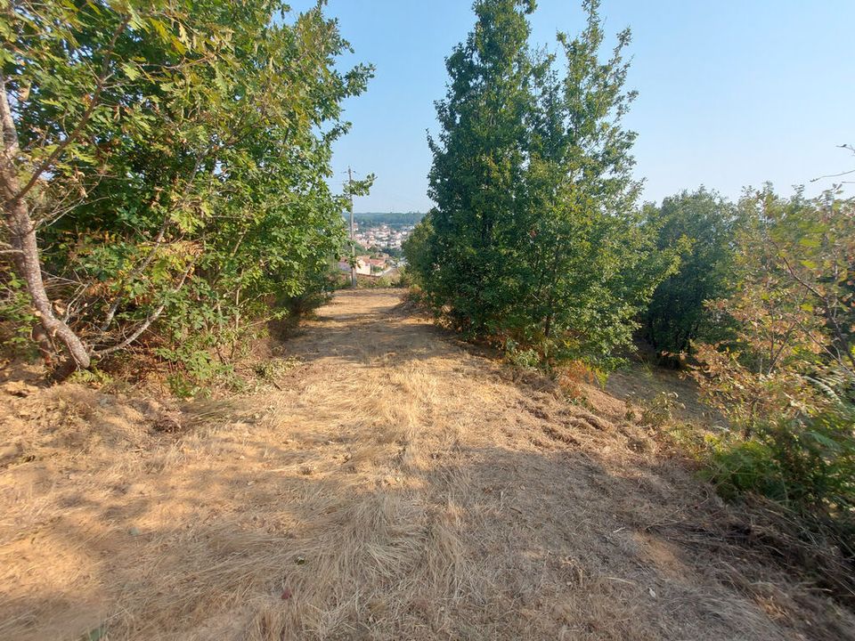 Helårsgrund i Arganil, Coimbra - foto 1