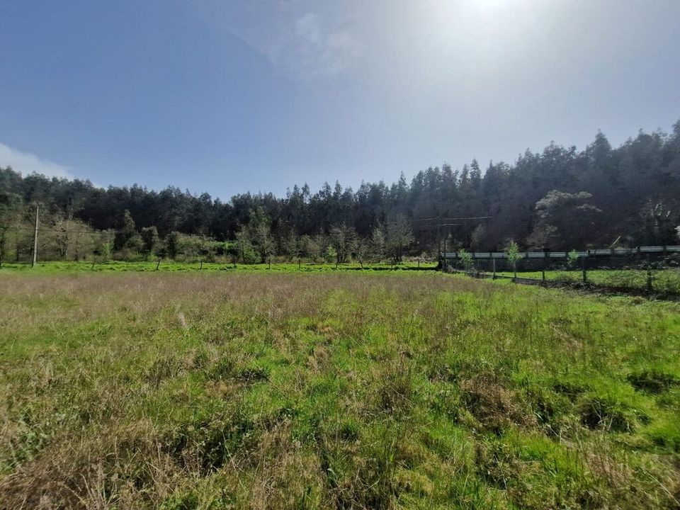 Helårsgrund i Tabua, Coimbra - foto 1