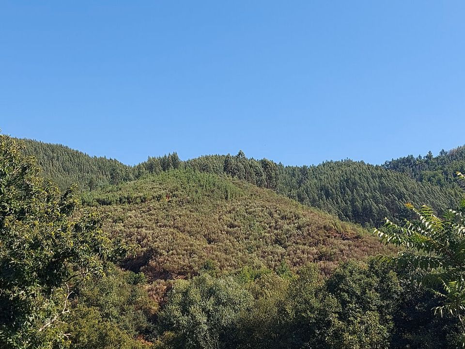 Helårsgrund i Arganil, Coimbra - foto 2