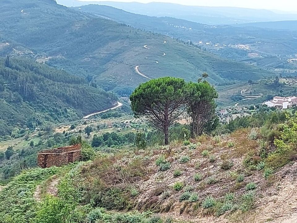 Helårsgrund i Arganil, Coimbra - foto 2