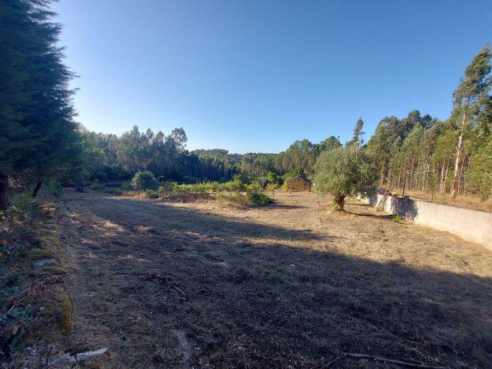 Helårsgrund i Arganil, Coimbra - foto 4