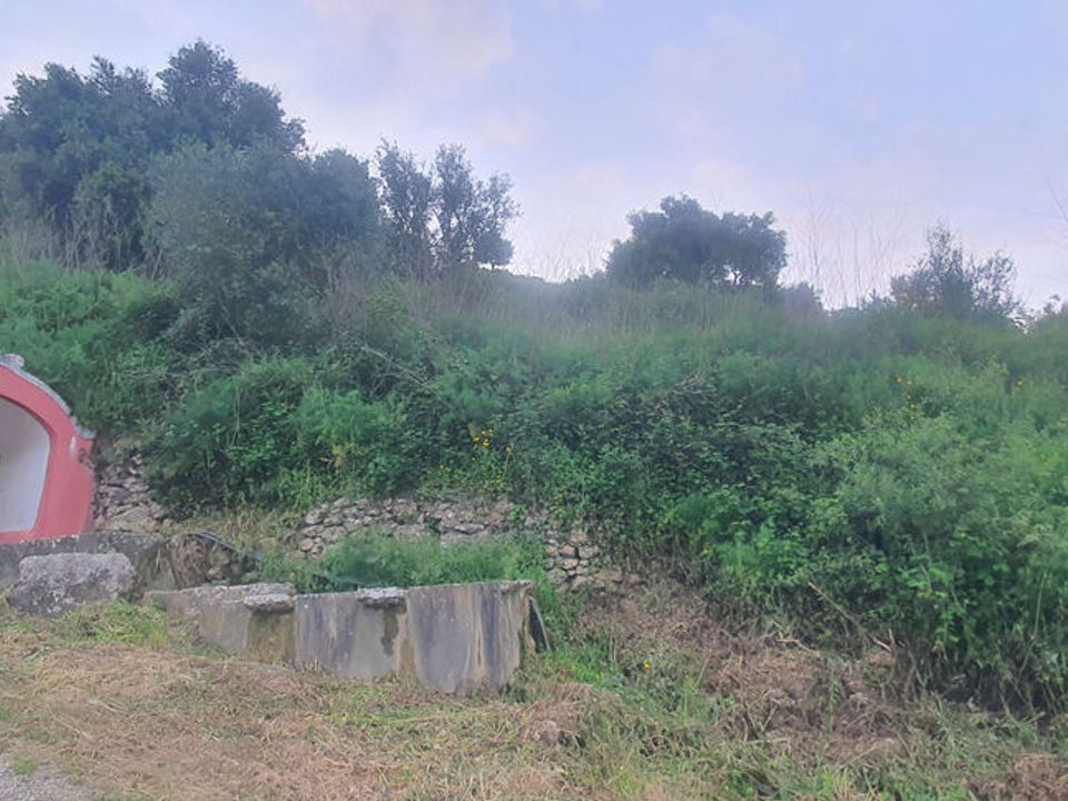 Farm i Mafra, Lisbon - foto 2