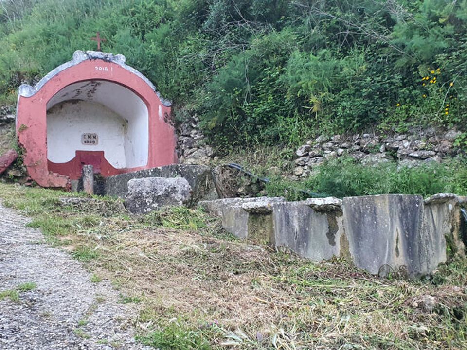Farm i Mafra, Lisbon - foto 4