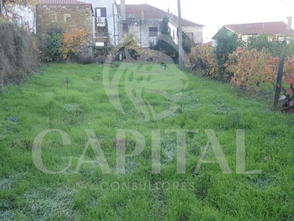 Byhus i Tabuaco, Viseu - foto 5