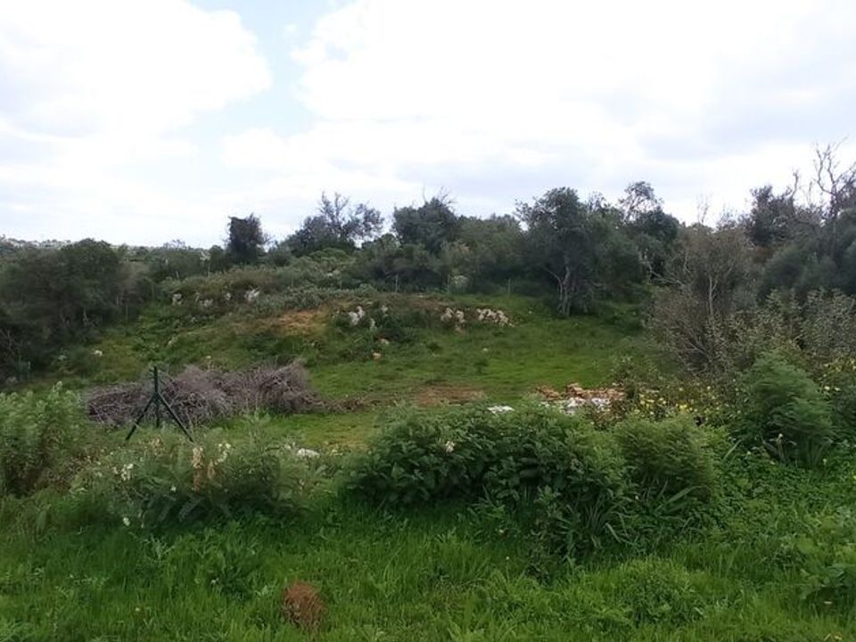 Granja a Albufeira, Faro - foto 2