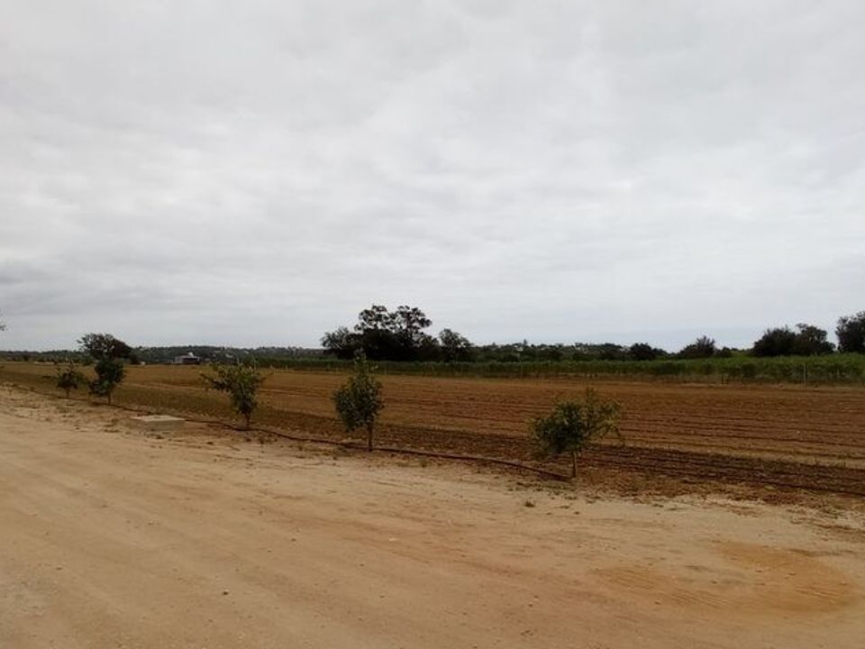 Granja a Albufeira, Faro - foto 3