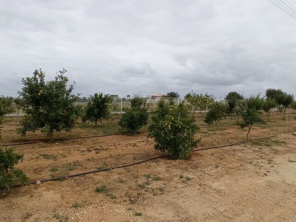 Granja a Albufeira, Faro - foto 4
