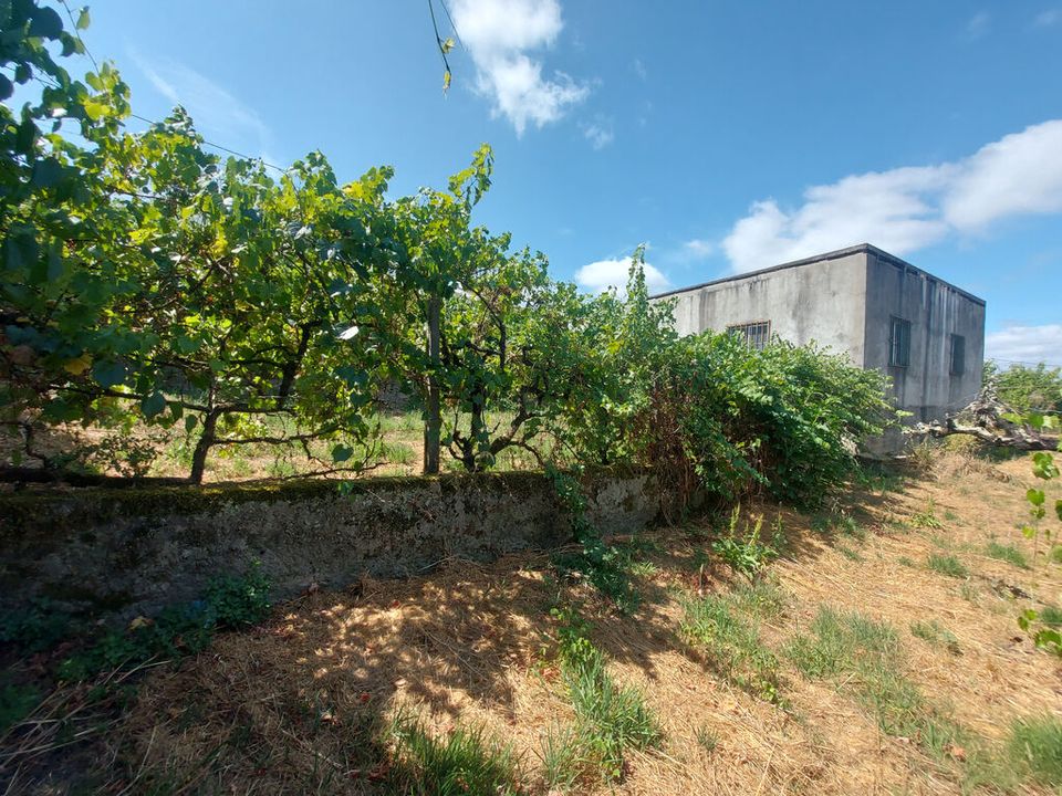 Byhus i Arganil, Coimbra - foto 3