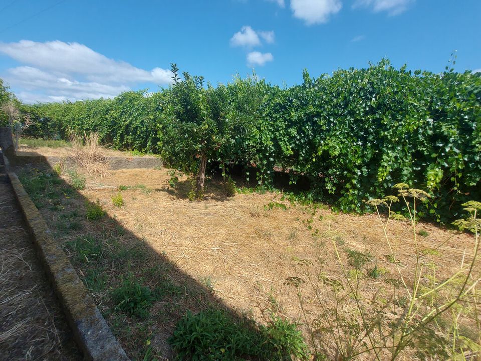 Byhus i Arganil, Coimbra - foto 5