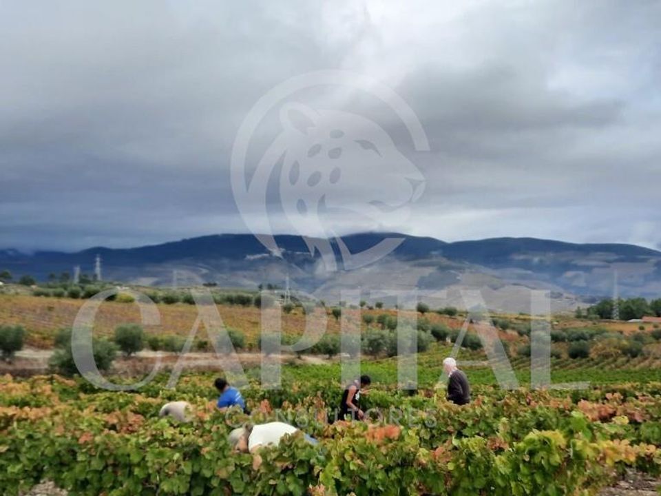 Helårsgrund i Tabuaco, Viseu - foto 2